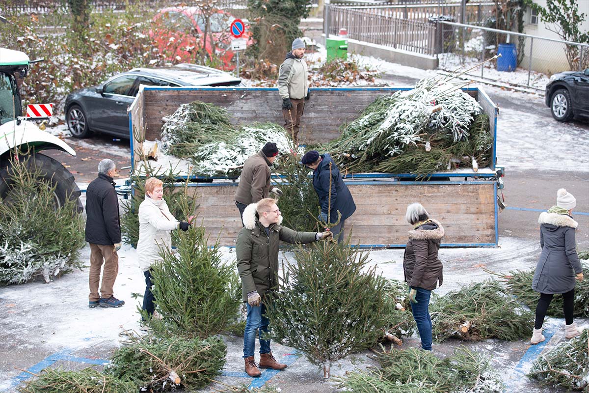 Weihnachten im Forstrevier Schauenburg