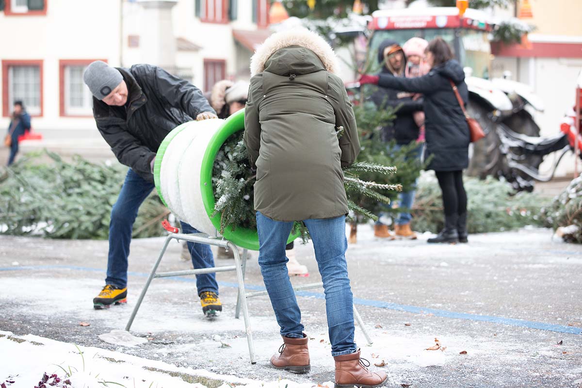 Weihnachten im Forstrevier Schauenburg