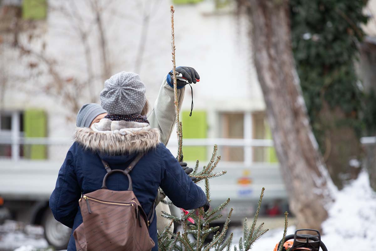Weihnachten im Forstrevier Schauenburg