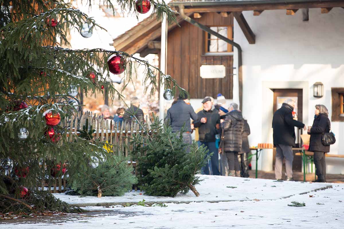 Weihnachten im Forstrevier Schauenburg